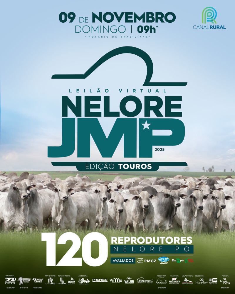 LEILÃO VIRTUAL NELORE JMP 2025 - EDIÇÃO TOUROS
