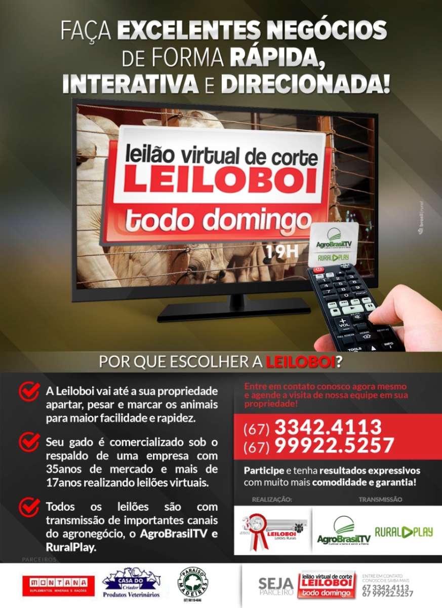 LEILÃO LEILOBOI VIRTUAL DE CORTE