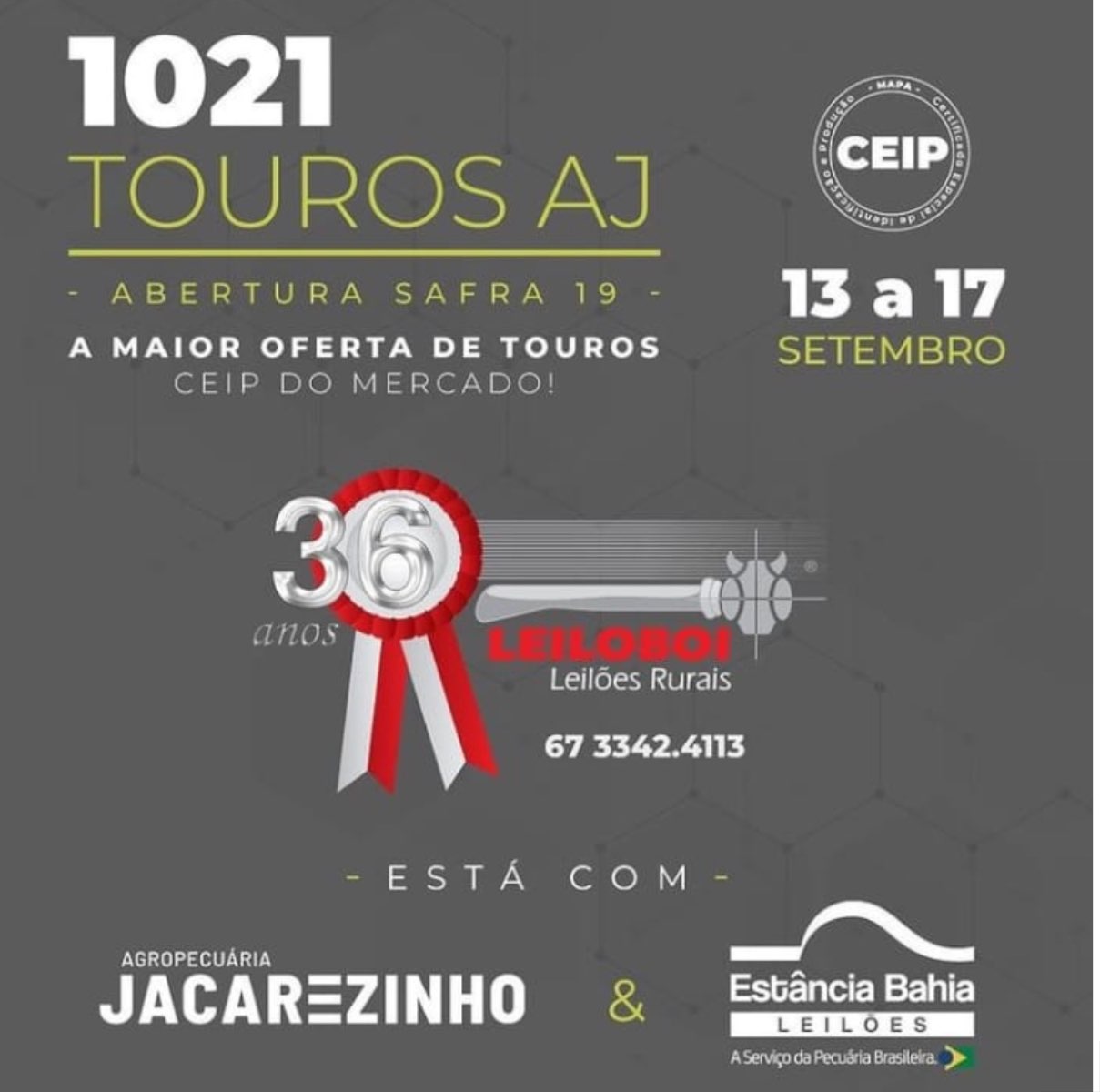 1.021 TOUROS AGROPECUÁRIA JACAREZINHO - 13 à 17/09