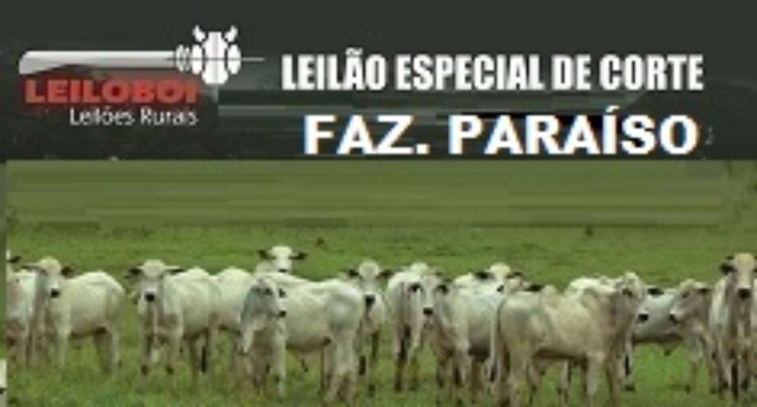 LEILÃO VIRTUAL ESPECIAL FAZENDA PARAISO