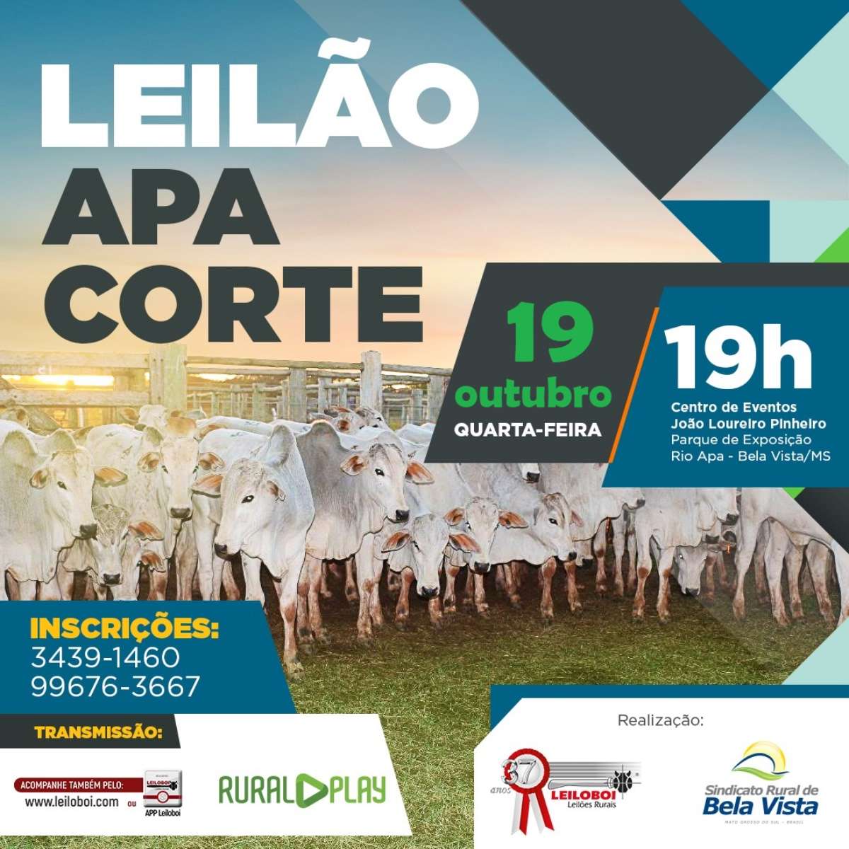 LEILÃO APA CORTE - BELA VISTA/MS