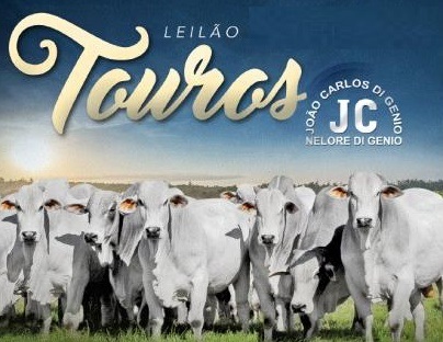 LEILÃO TOUROS DE CORUMBA/MS