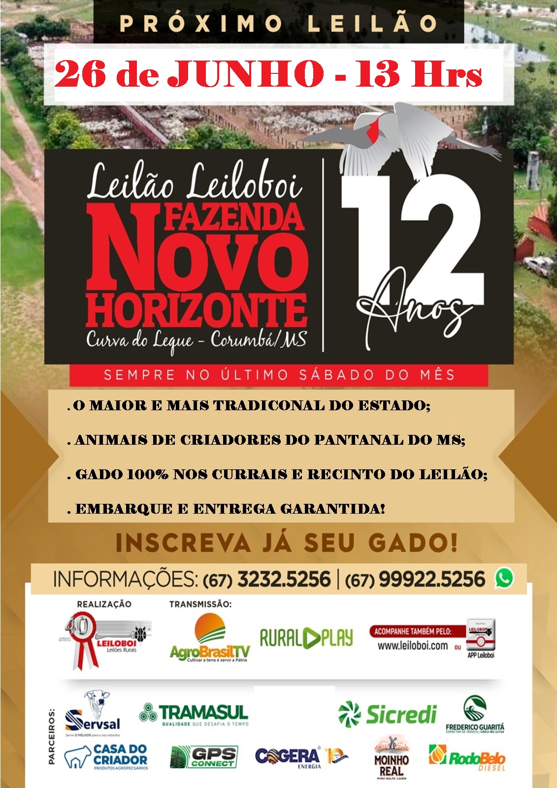 143º Leilão Leiloboi Fazenda Novo Horizonte