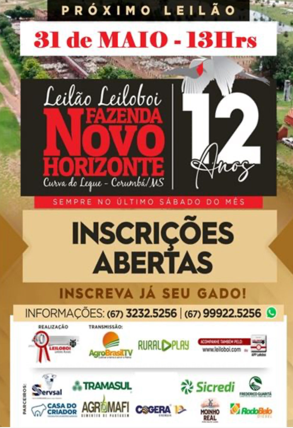 142º Leilão Leiloboi Fazenda Novo Horizonte