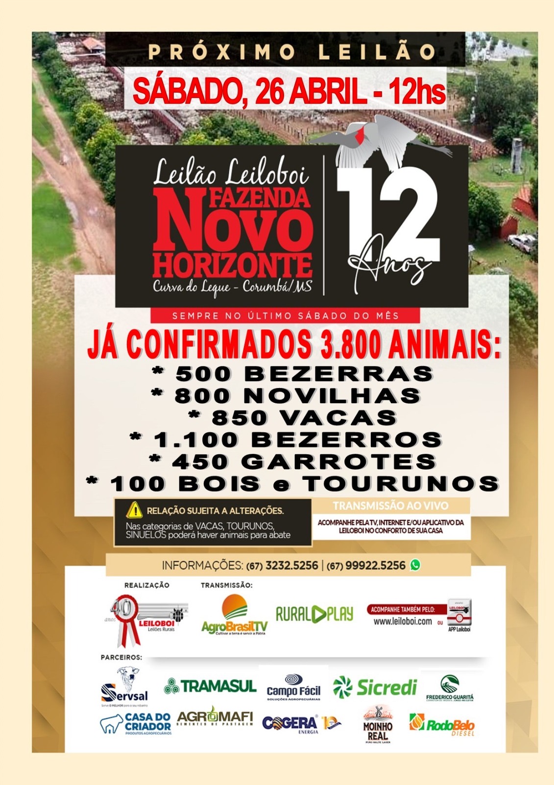 141º Leilão Leiloboi Fazenda Novo Horizonte
