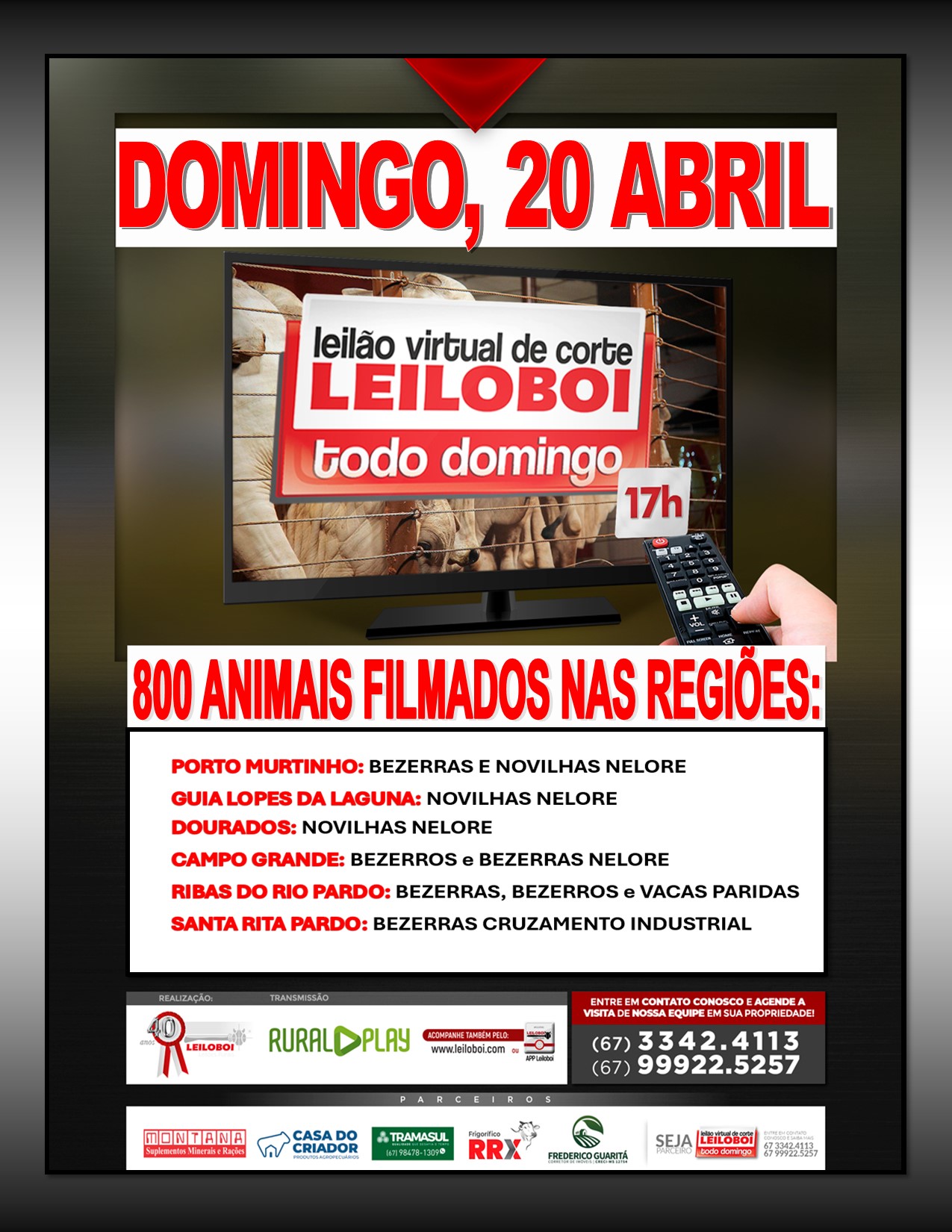 LEILÃO LEILOBOI VIRTUAL DE CORTE