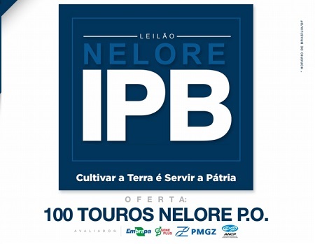 LEILÃO NELORE IPB 2025 - CAMPO GRANDE/MS