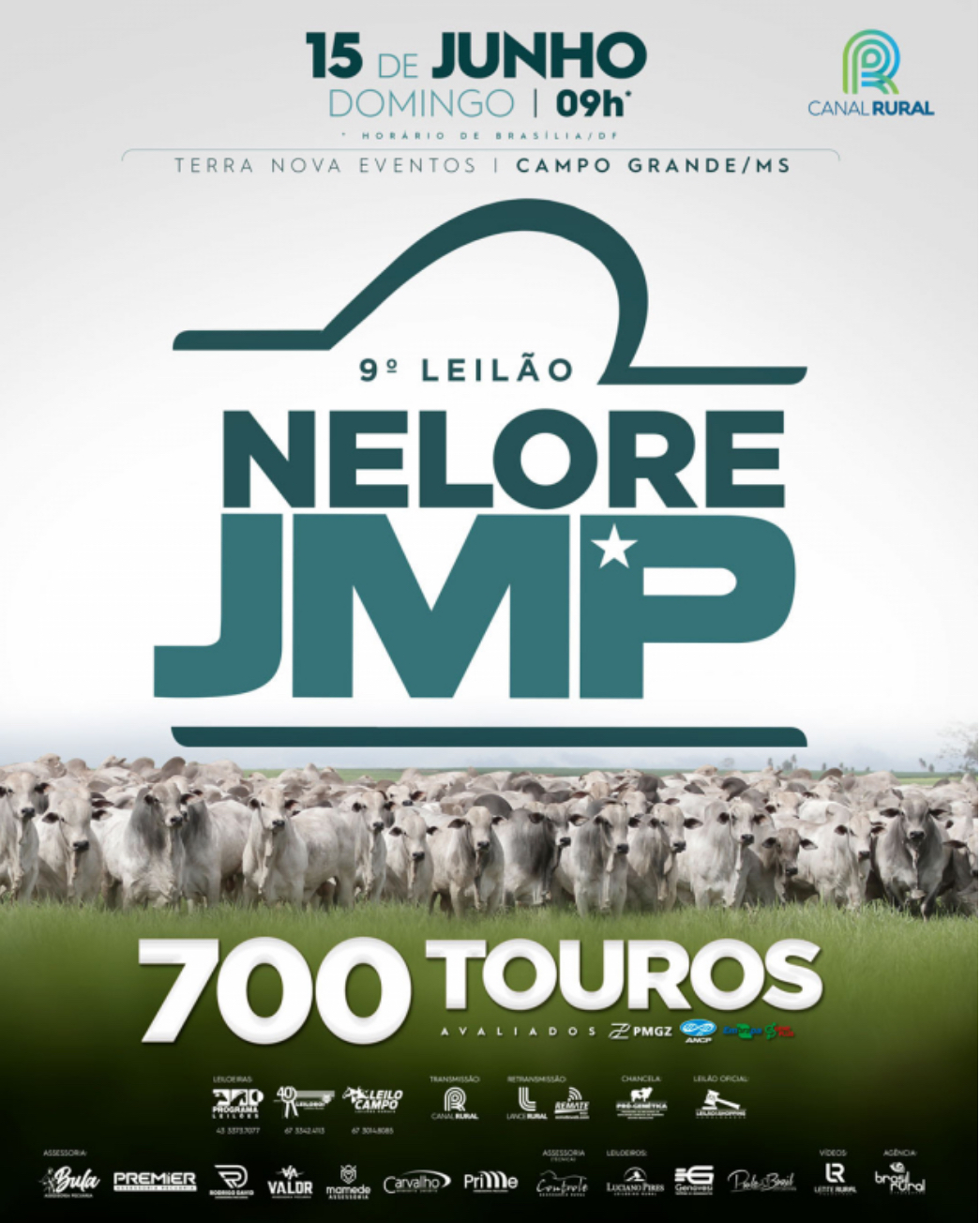 LEILÃO 700 TOUROS JMP - CAMPO GRANDE/MS