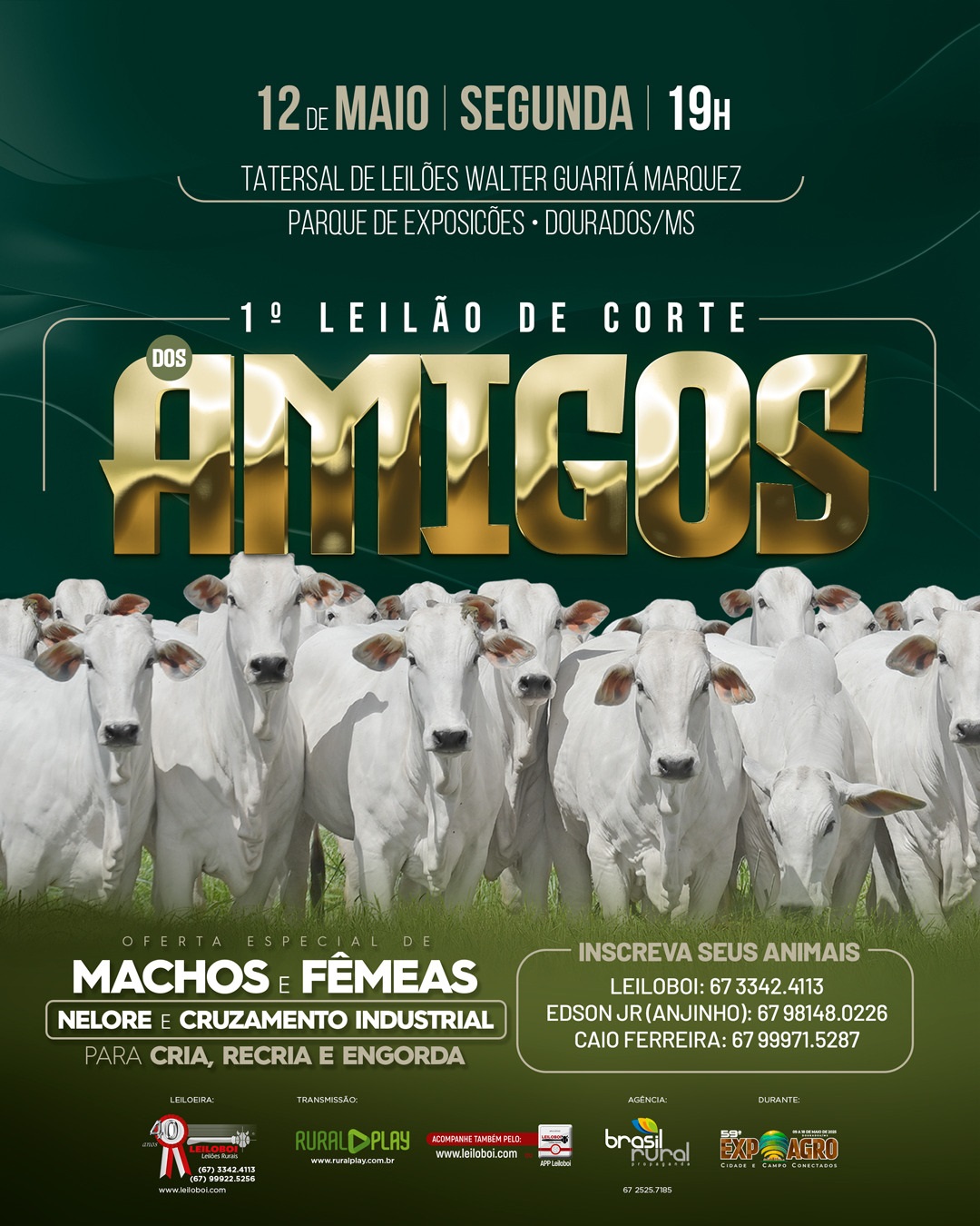 1º LEILÃO DE CORTE DOS AMIGOS - EXPOAGRO 2025