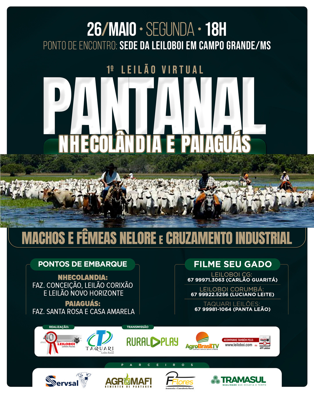 1º LEILÃO VIRTUAL  PANTANAL NHÊCOLANDIA E PAIAGUÁS