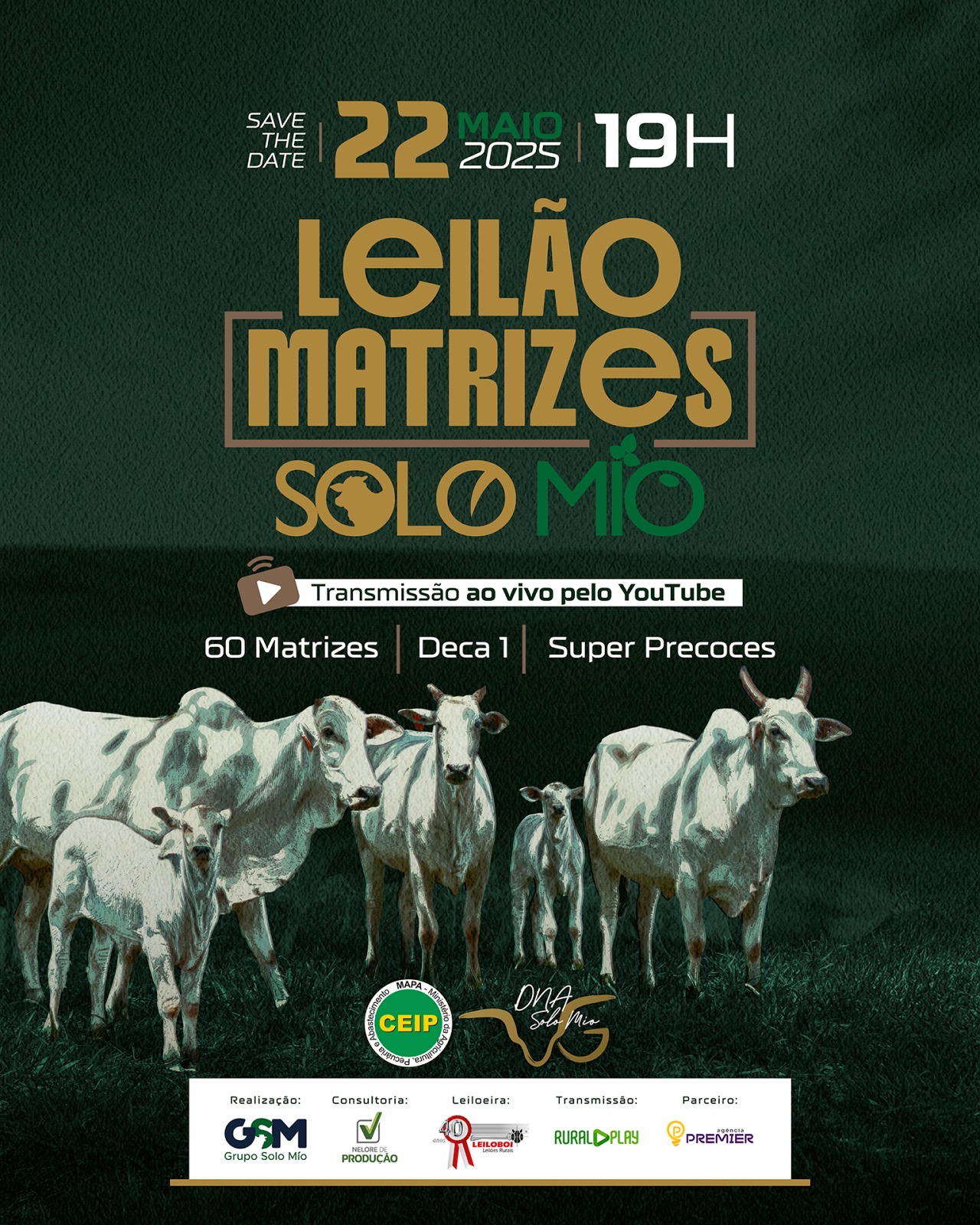 LEILÃO VIRTUAL MATRIZES SOLO MIO