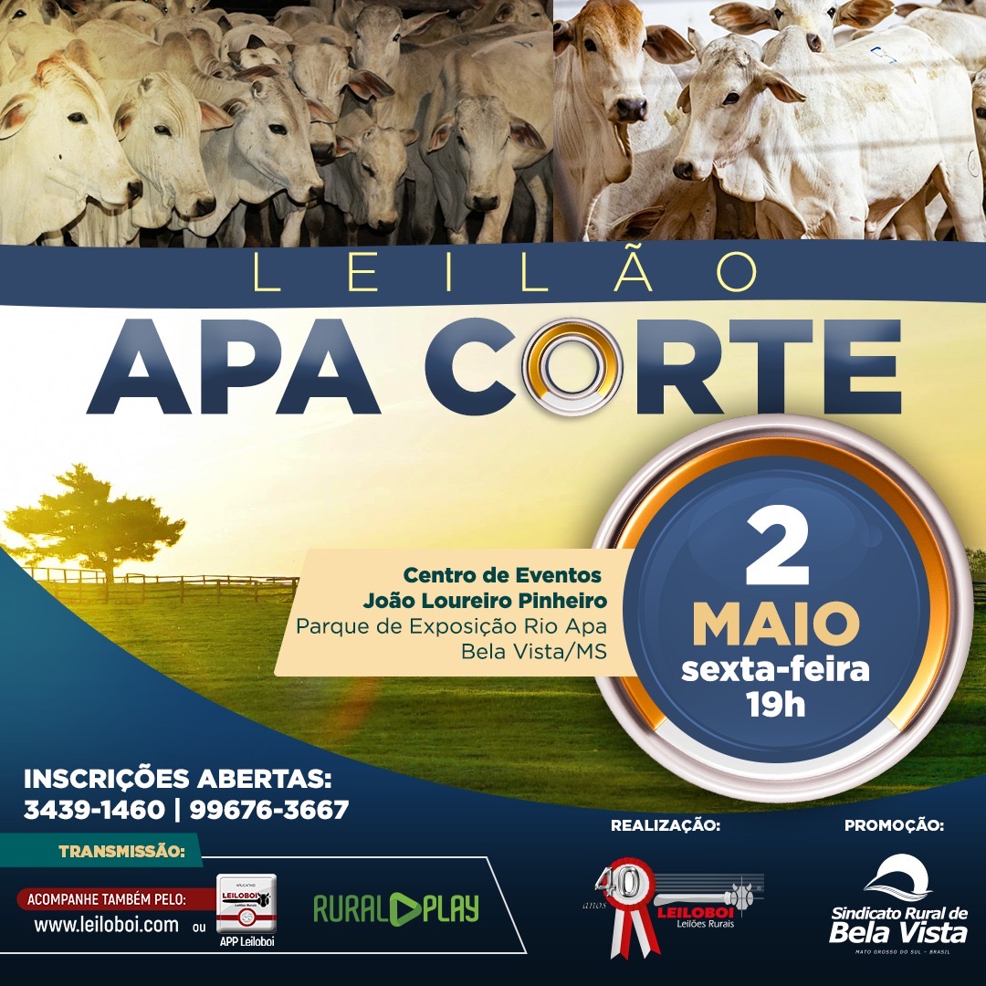 LEILÃO APA CORTE - BELA VISTA/MS