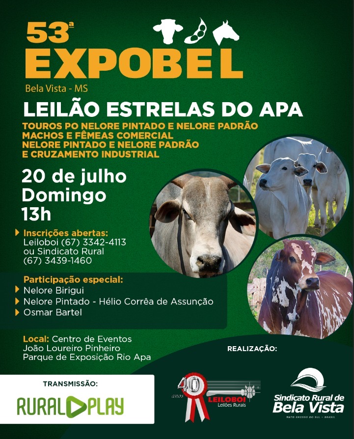 LEILÃO ESTRELAS DO APA  - EXPOBEL 2025