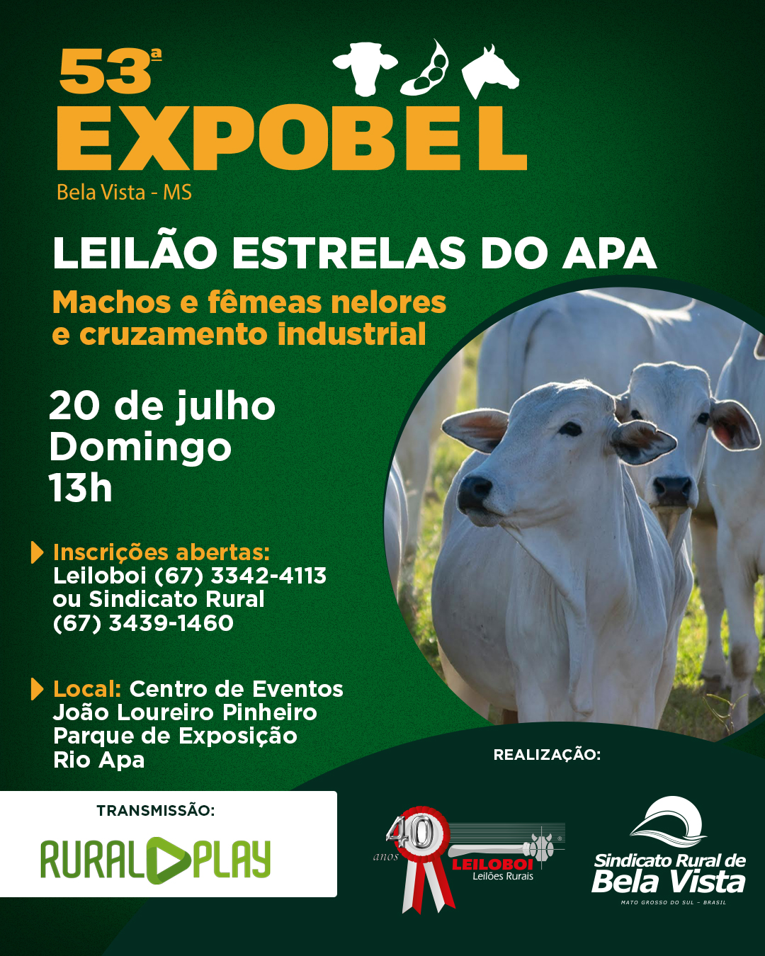 LEILÃO ESTRELAS DO APA  - EXPOBEL 2025