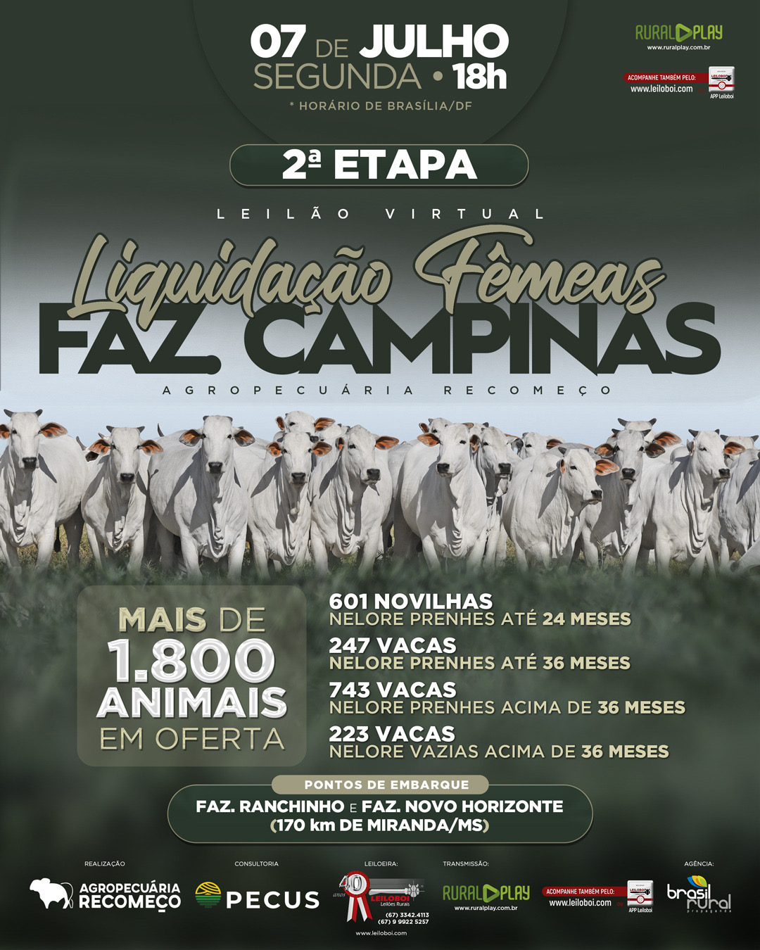 LEILÃO VIRTUAL LIQUIDACÃO FEMEAS FAZ. CAMPINAS - 2º ETAPA