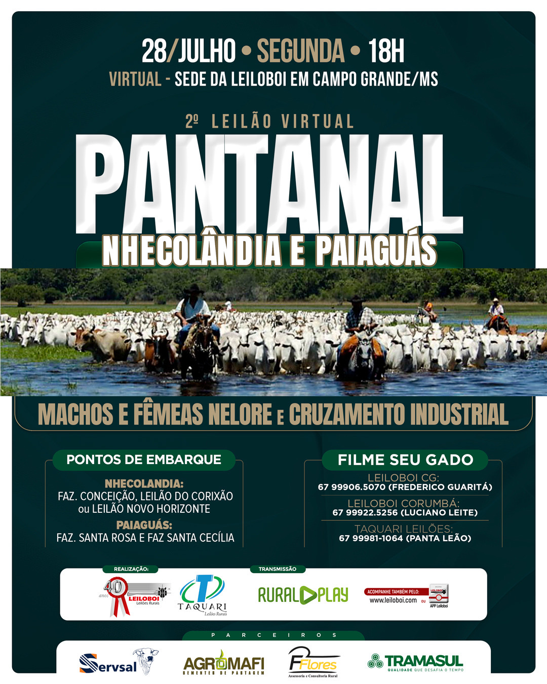 2º LEILÃO VIRTUAL PANTANAL DA NHÊCOLANDIA E PAIAGUAS