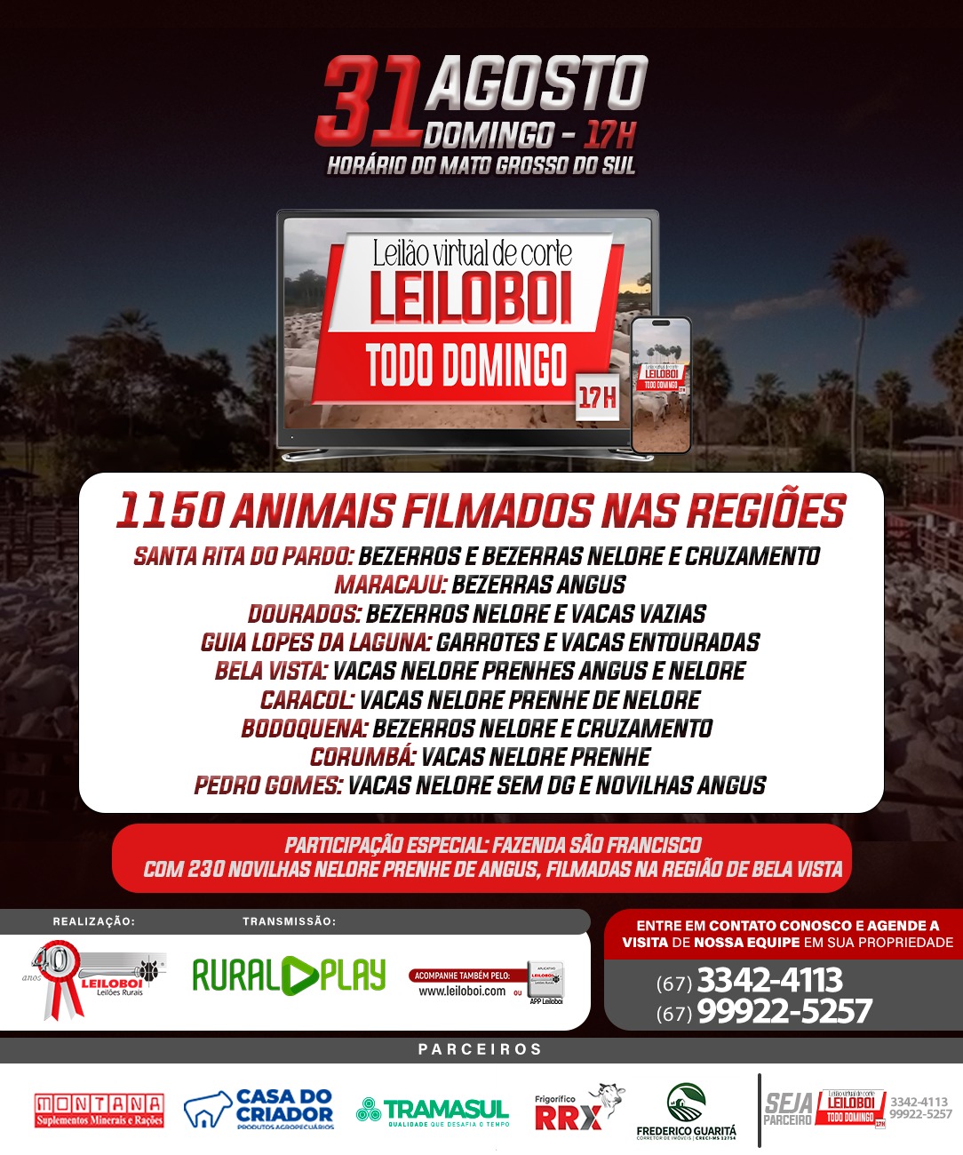 LEILÃO LEILOBOI VIRTUAL DE CORTE