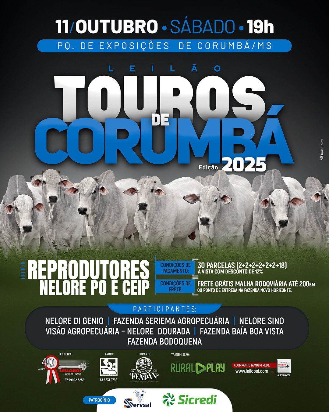 LEILÃO TOUROS DE CORUMBÁ - FEAPAN 2025