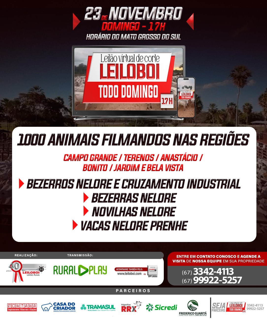 LEILÃO LEILOBOI VIRTUAL DE CORTE