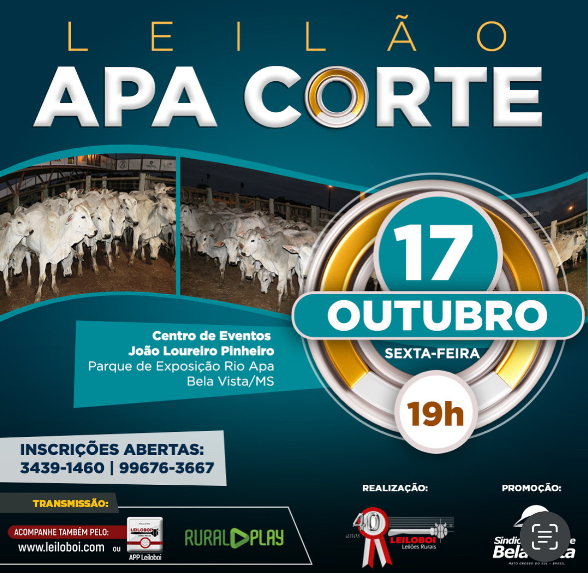 LEILÃO APA CORTE - BELA VISTA/MS