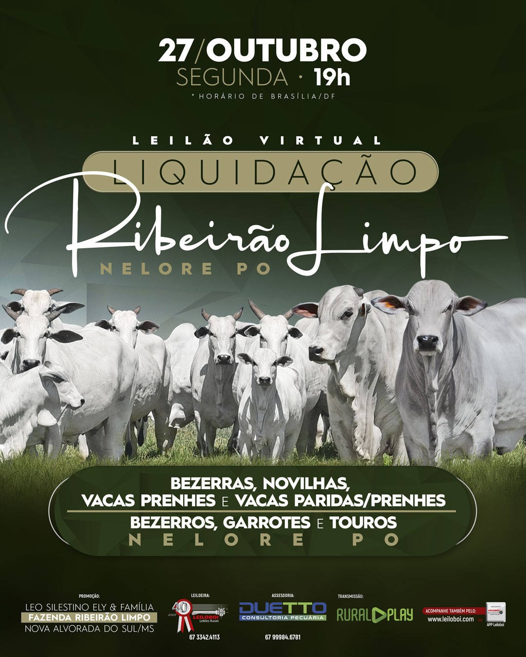 LEILÃO LIQUIDAÇÃO NELORE FAZ. RIBEIRÃO LIMPO