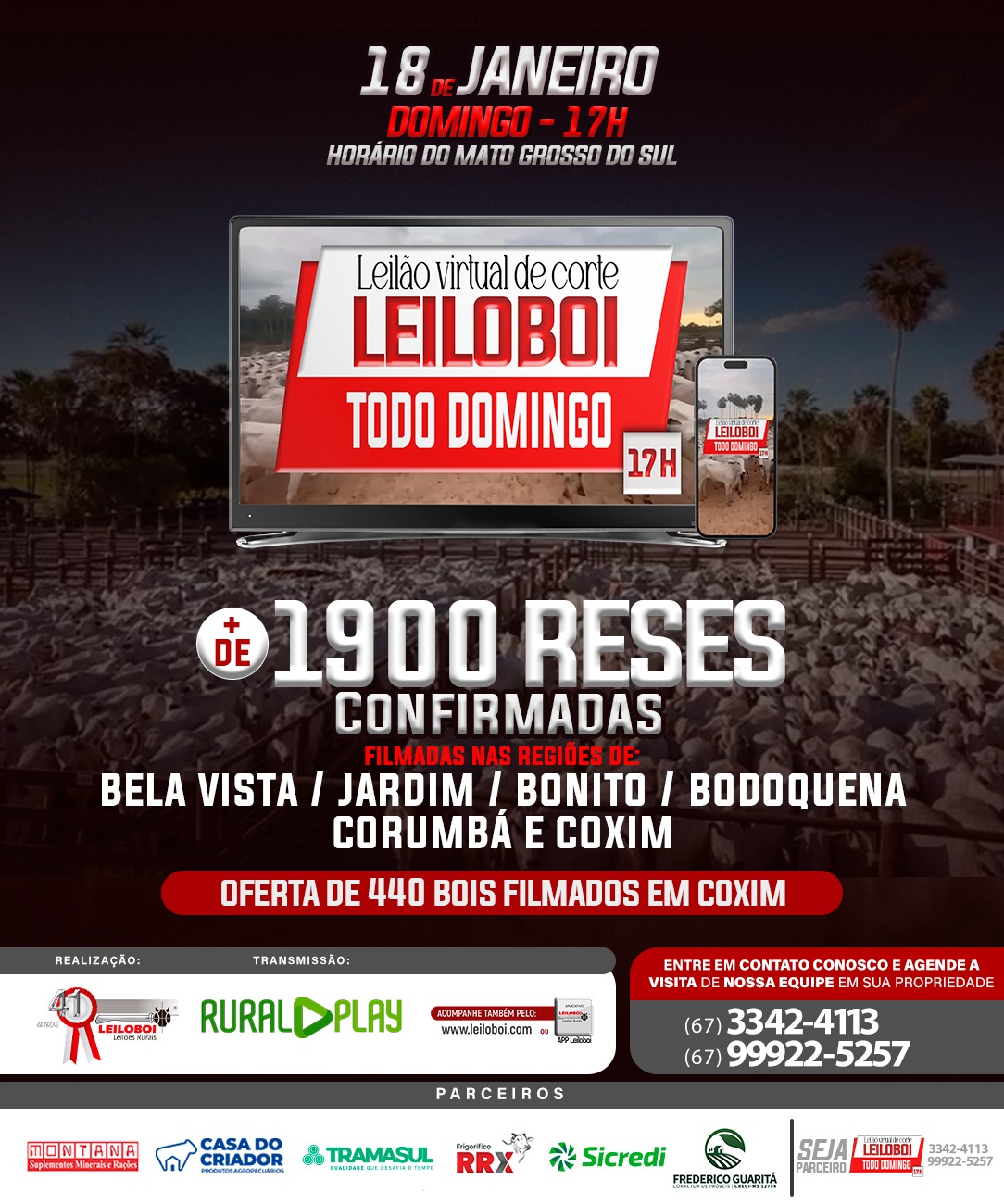 LEILÃO LEILOBOI VIRTUAL DE CORTE