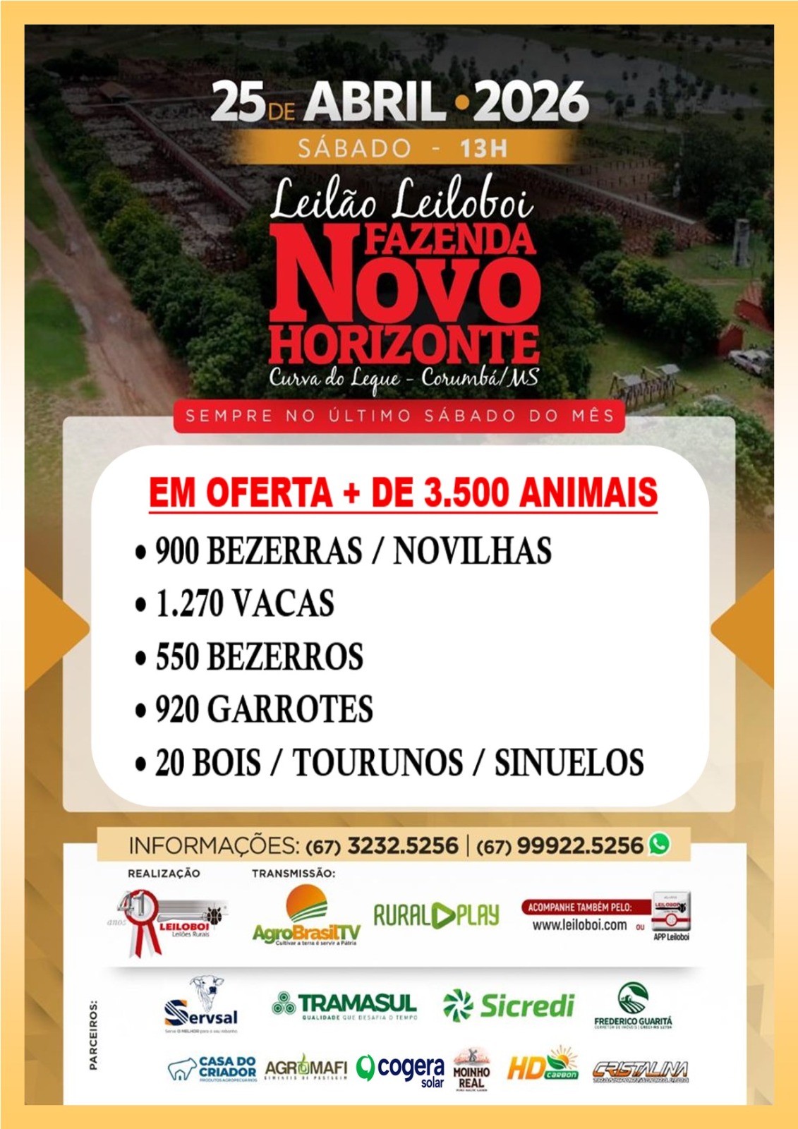 153º LEILÃO FAZENDA NOVO HORIZONTE