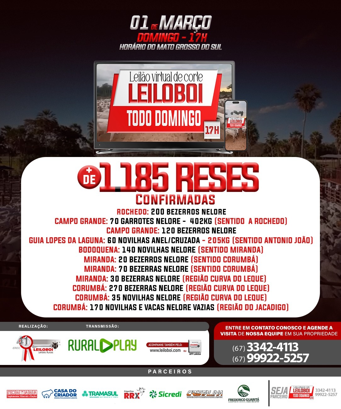 LEILÃO LEILOBOI VIRTUAL DE CORTE