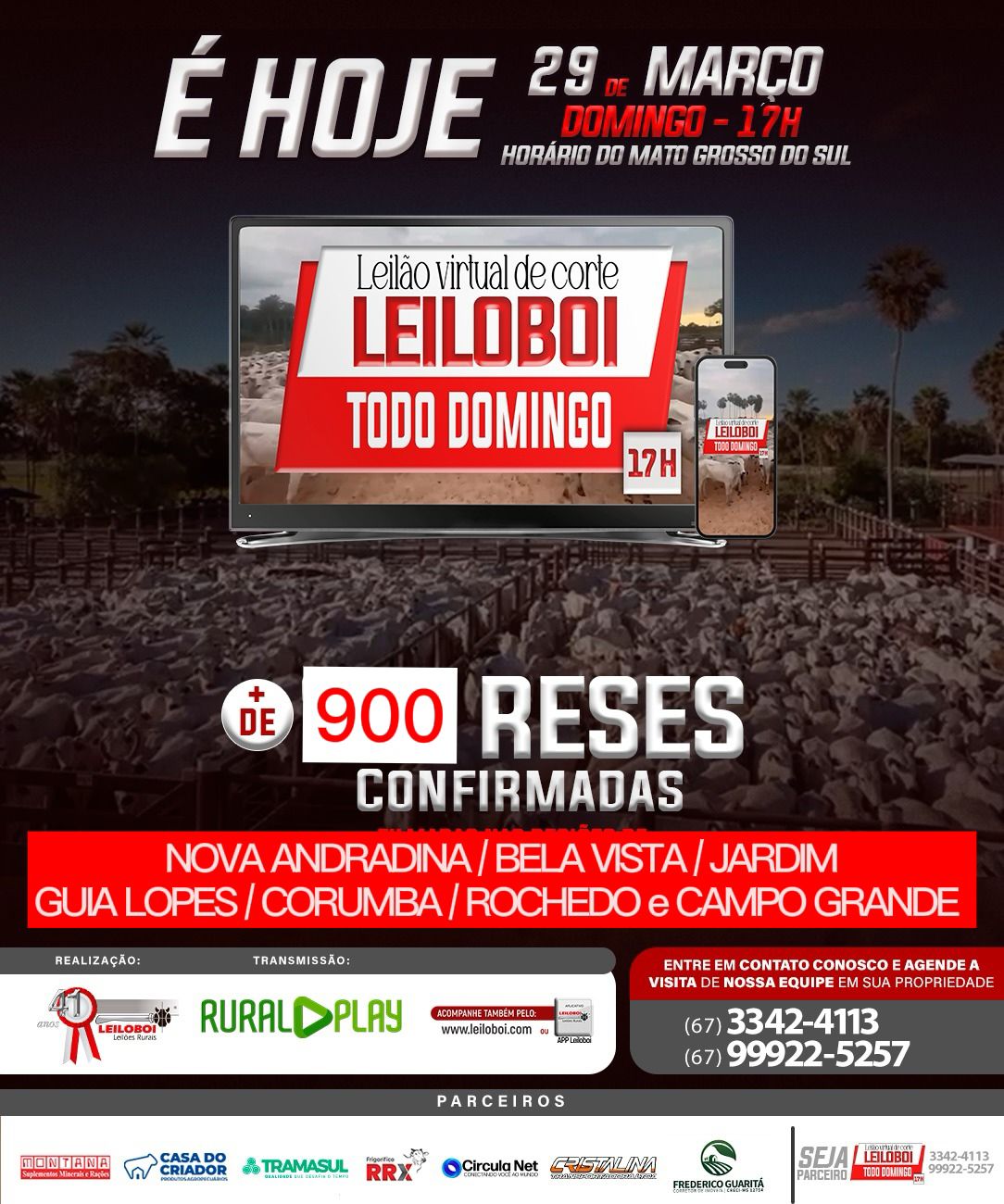 LEILÃO LEILOBOI VIRTUAL DE CORTE