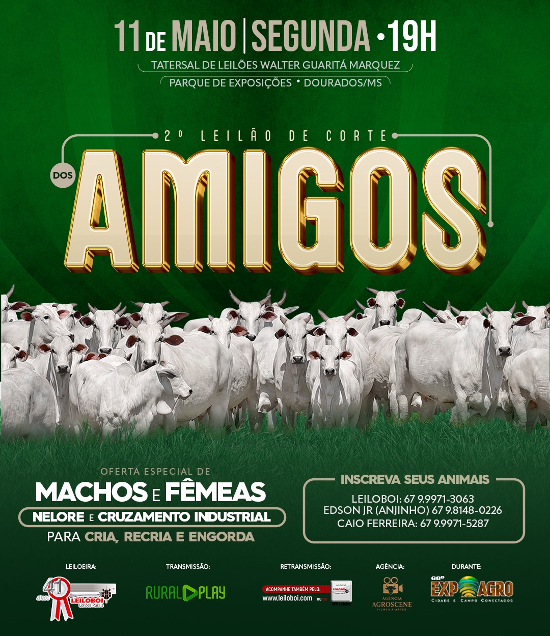 2º LEILÃO DE CORTE DOS AMIGOS - EXPOAGRO 2026 (DOURADOS-MS)