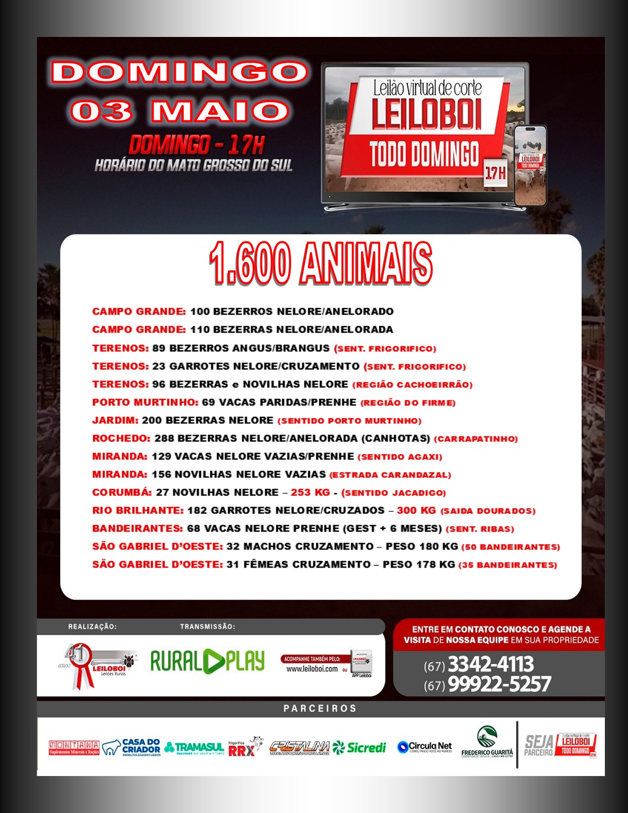 LEILÃO LEILOBOI VIRTUAL DE CORTE