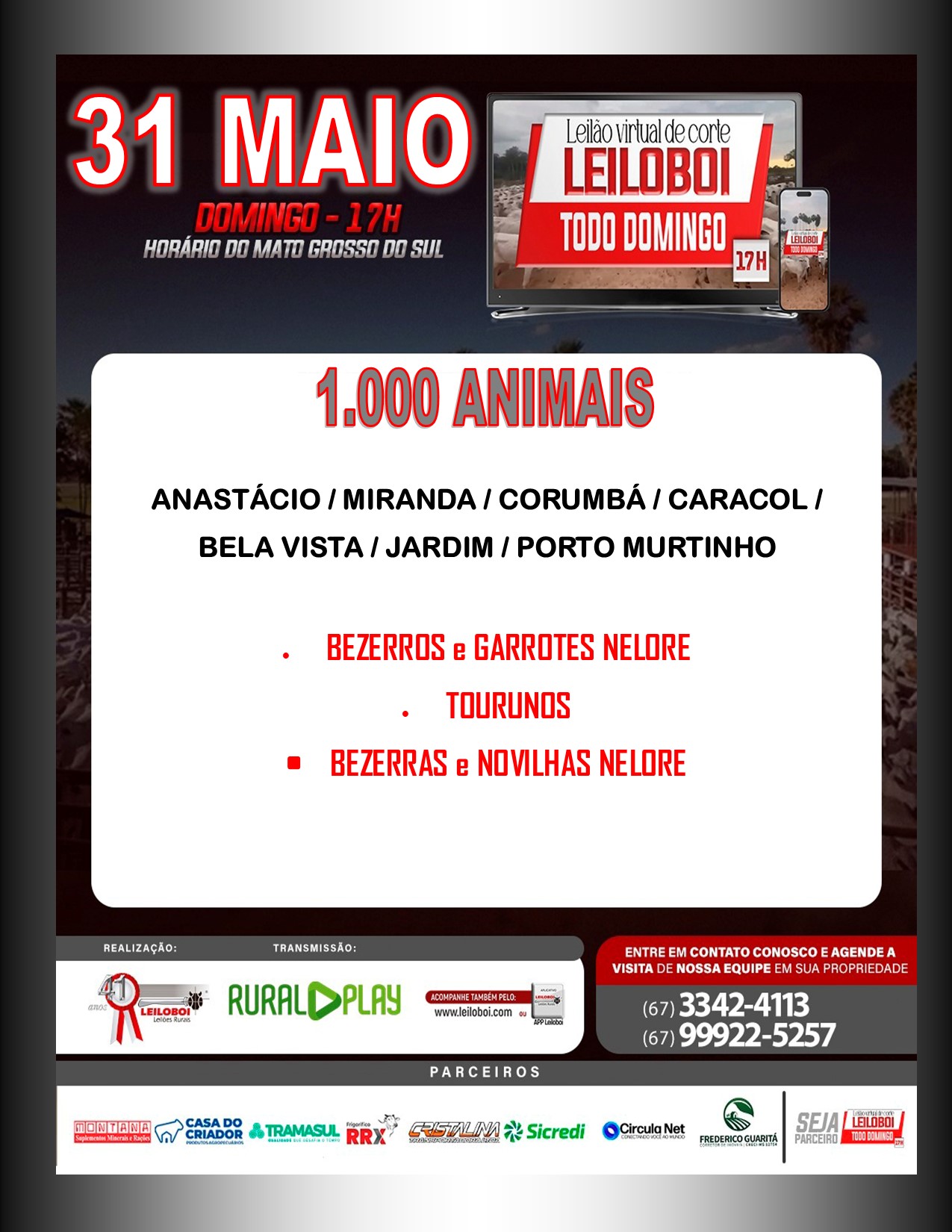 LEILÃO LEILOBOI VIRTUAL DE CORTE