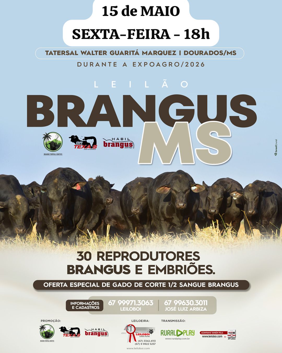 LEILÃO BRANGUS MS - EXPOAGRO 2026  