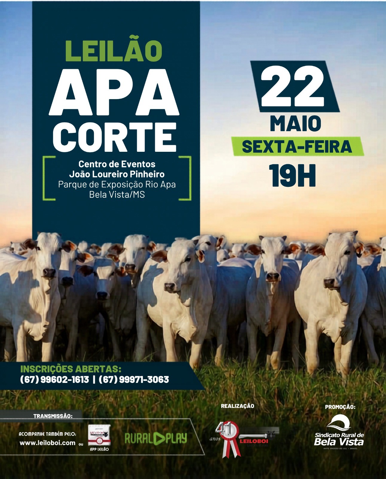 LEILÃO APA CORTE - BELA VISTA/MS
