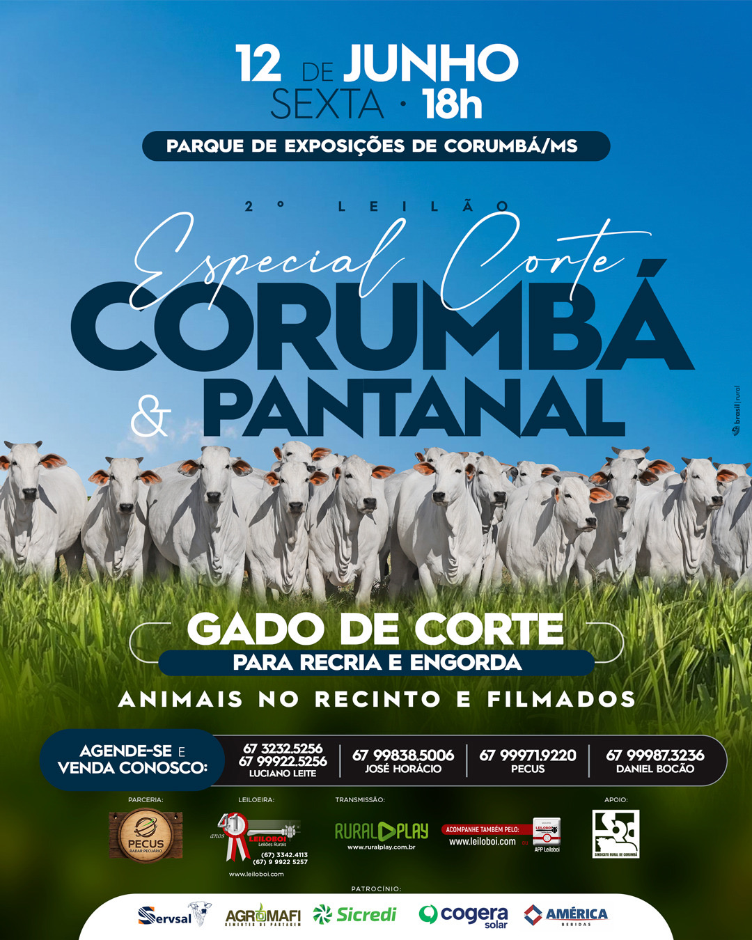 LEILÃO ESPECIAL CORTE CORUMBÁ & PANTANAL - CORUMBÁ/MS
