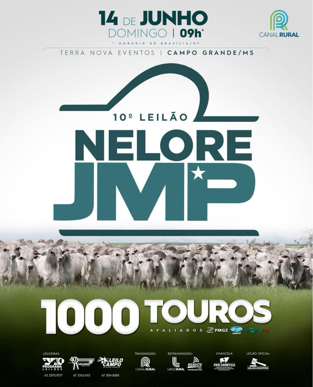 10° LEILÃO NELORE JMP - CAMPO GRANDE/MS