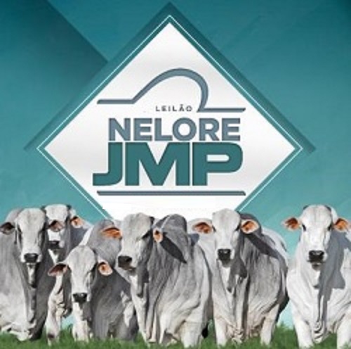 LEILÃO 1.000 TOUROS JMP - CAMPO GRANDE/MS