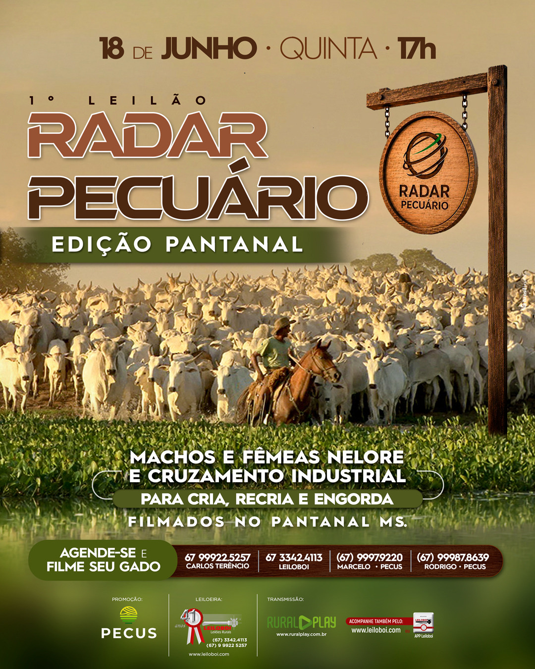 1º LEILÃO VIRTUAL  RADAR PECUÁRIO - EDIÇÃO PANTANAL