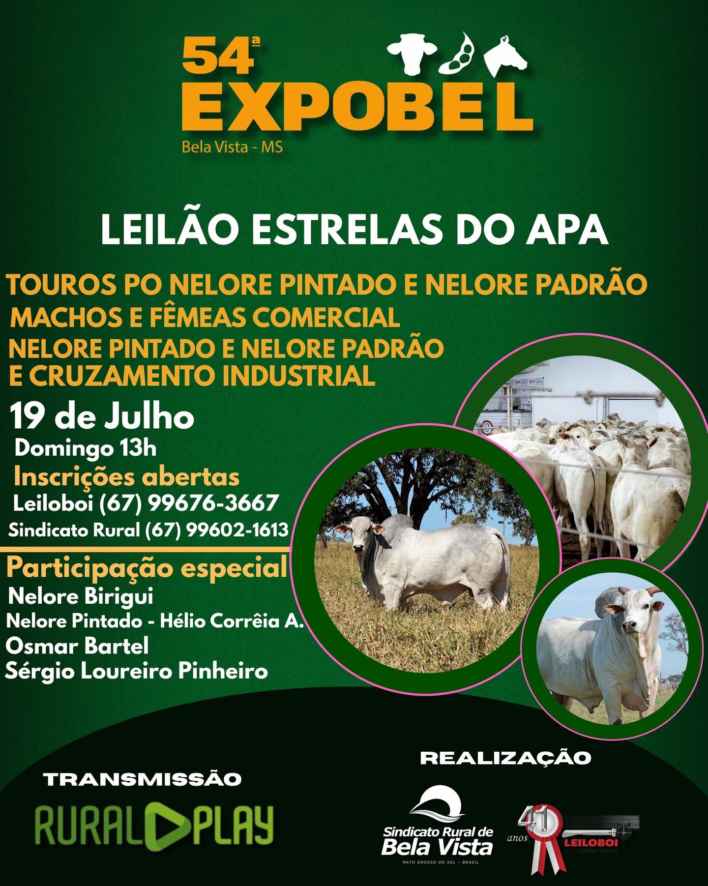 LEILÃO ESTRELAS DO APA - EXPOBEL 2026