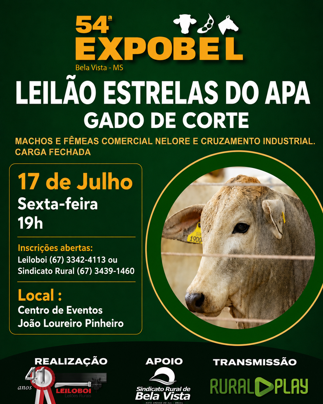 LEILÃO ESTRELAS DO APA - EXPOBEL 2026