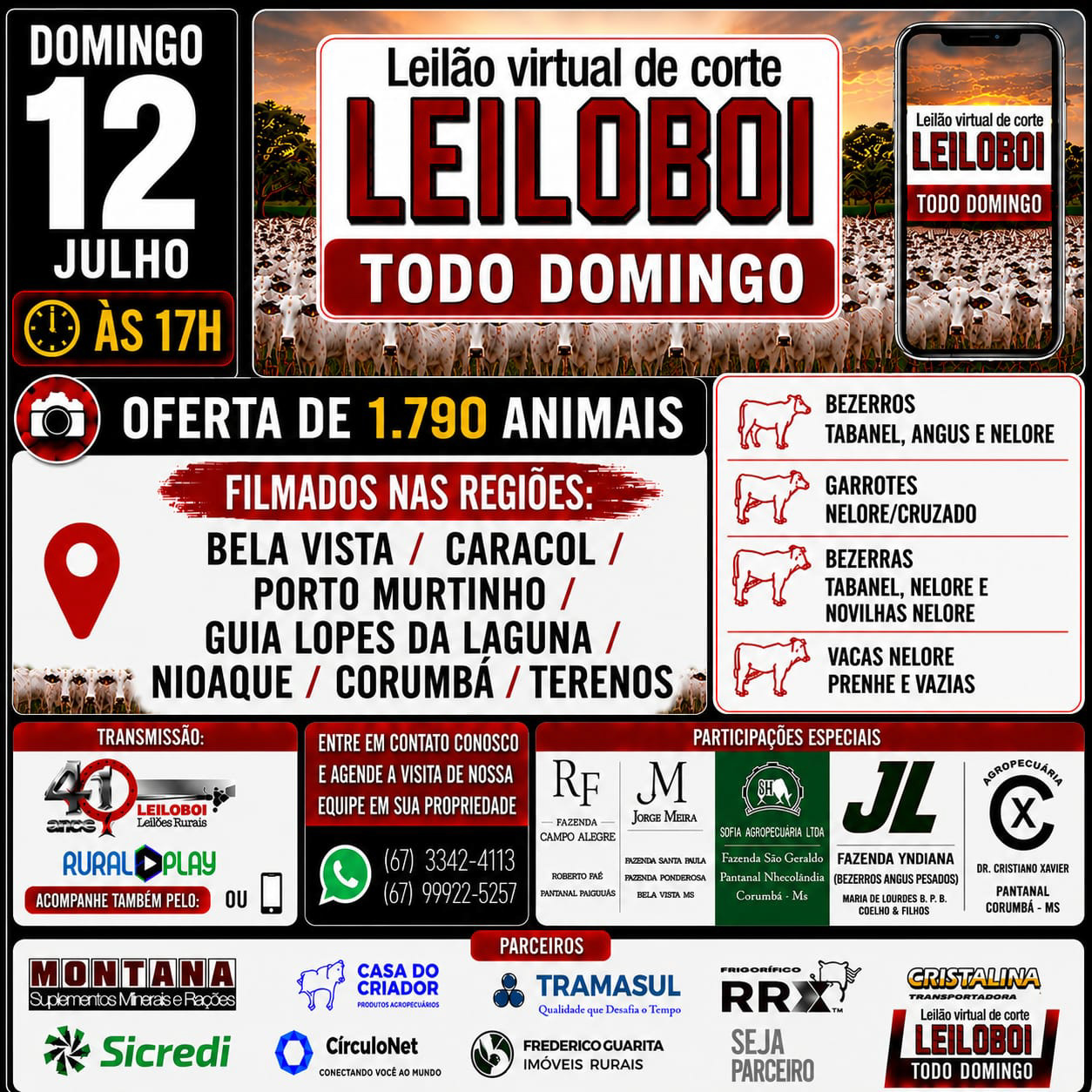 LEILÃO LEILOBOI VIRTUAL DE CORTE