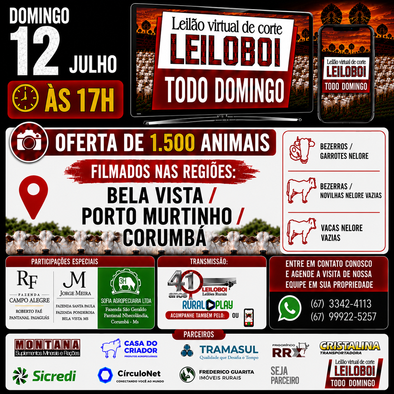 LEILÃO LEILOBOI VIRTUAL DE CORTE