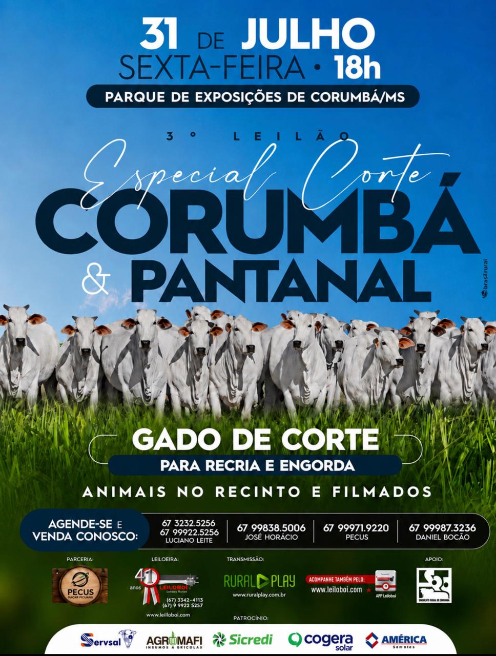 3º LEILÃO ESPECIAL CORTE CORUMBÁ E PANTANAL - CORUMBÁ/MS
