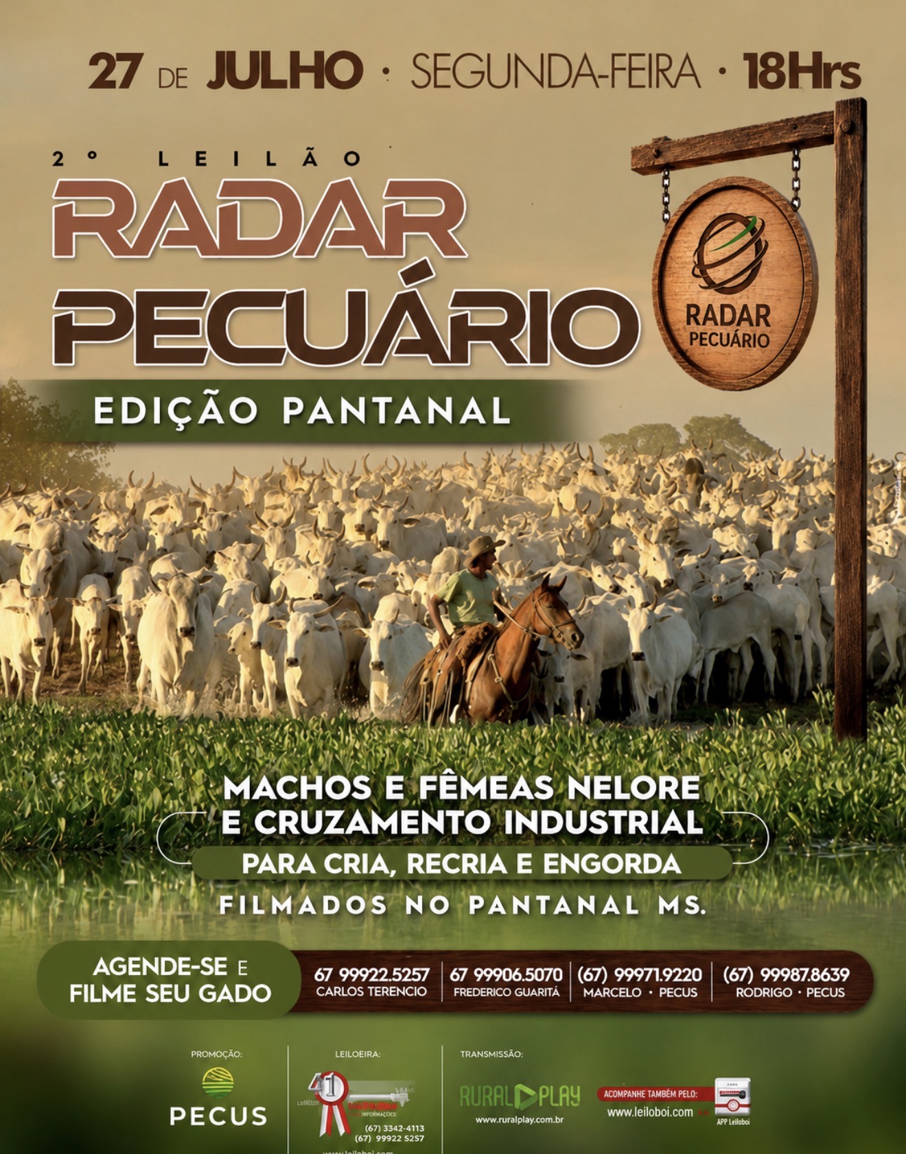 2º LEILÃO VIRTUAL RADAR PECUÁRIO - EDIÇÃO PANTANAL