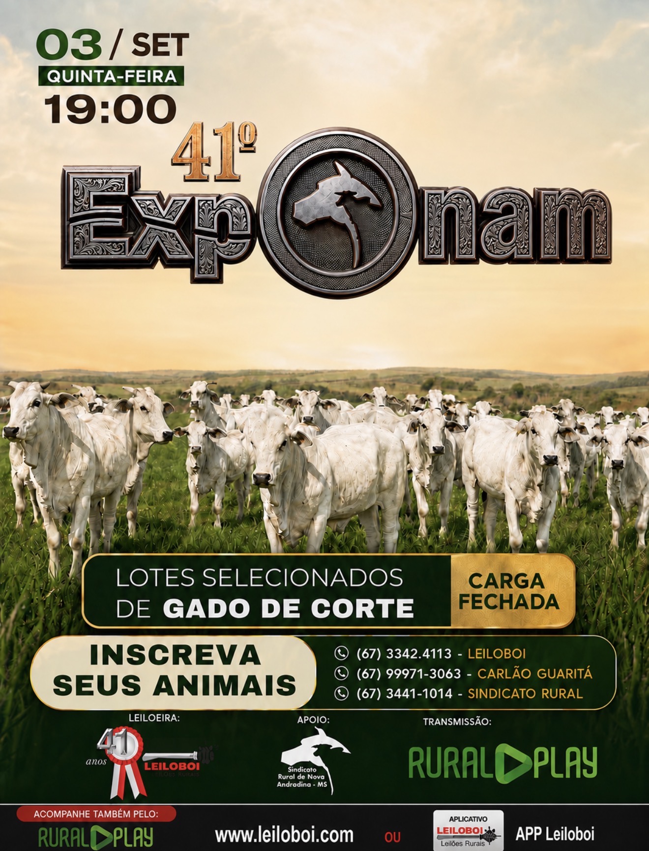 LEILÃO ESPECIAL CORTE NOVA ANDRADINA
