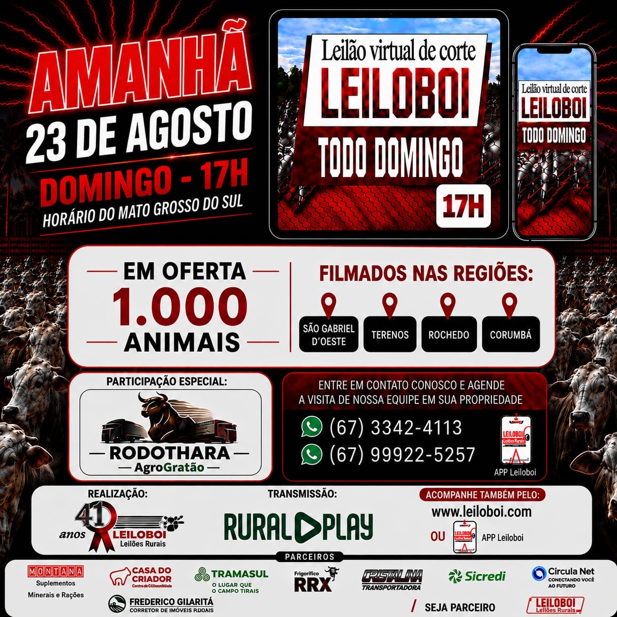 LEILÃO LEILOBOI VIRTUAL DE CORTE