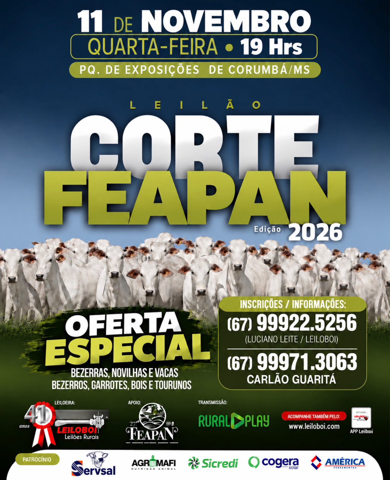 LEILÃO CORTE FEAPAN 2026 - CORUMBÁ/MS