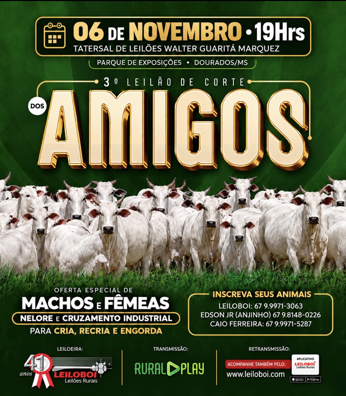 3º LEILÃO DE CORTE DOS AMIGOS - DOURADOS/MS 