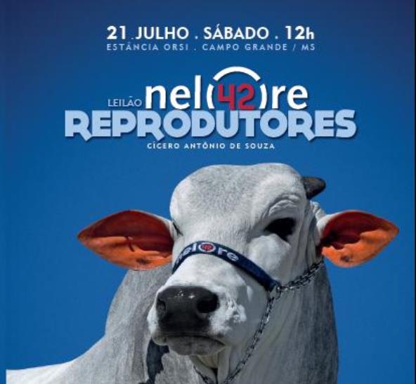 LEILÃO REPRODUTORES NELORE 42 - CAMPO GRANDE/MS