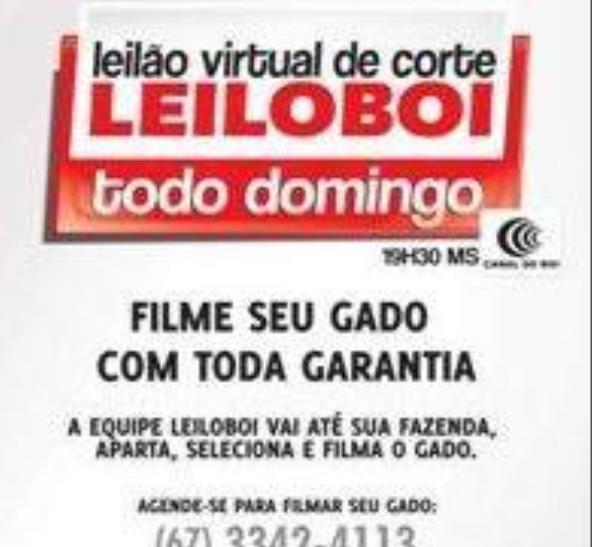 LEILÃO LEILOBOI VIRTUAL DE CORTE- Clique aqui e veja vídeo dos lotes